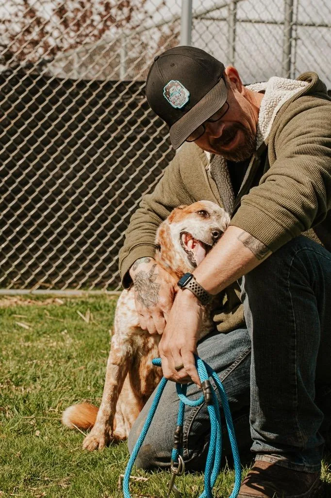 Ladybug  Sponsored By thumbnail 3