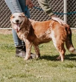 Ladybug  Sponsored By thumbnail 4