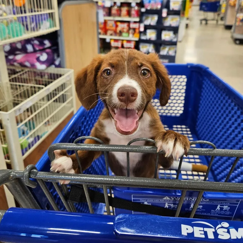 Hershey thumbnail 3