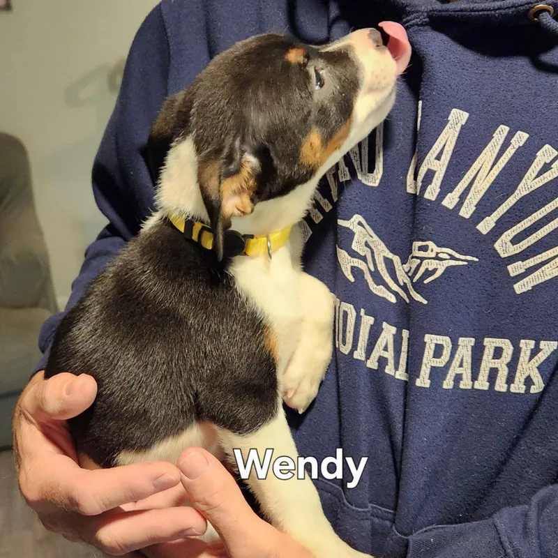 Wendy thumbnail 2