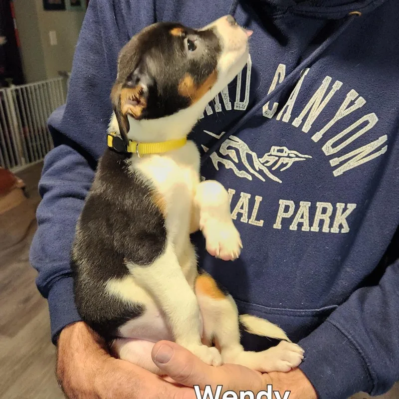 Wendy thumbnail 4