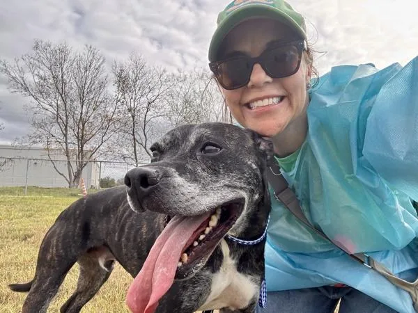 Marshall thumbnail 6