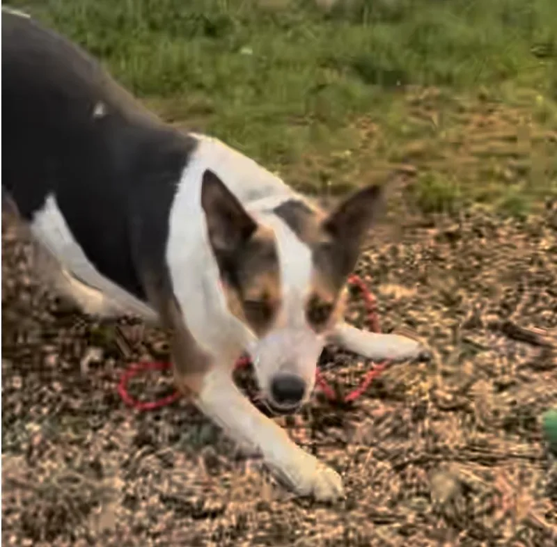 Mercedes thumbnail 2