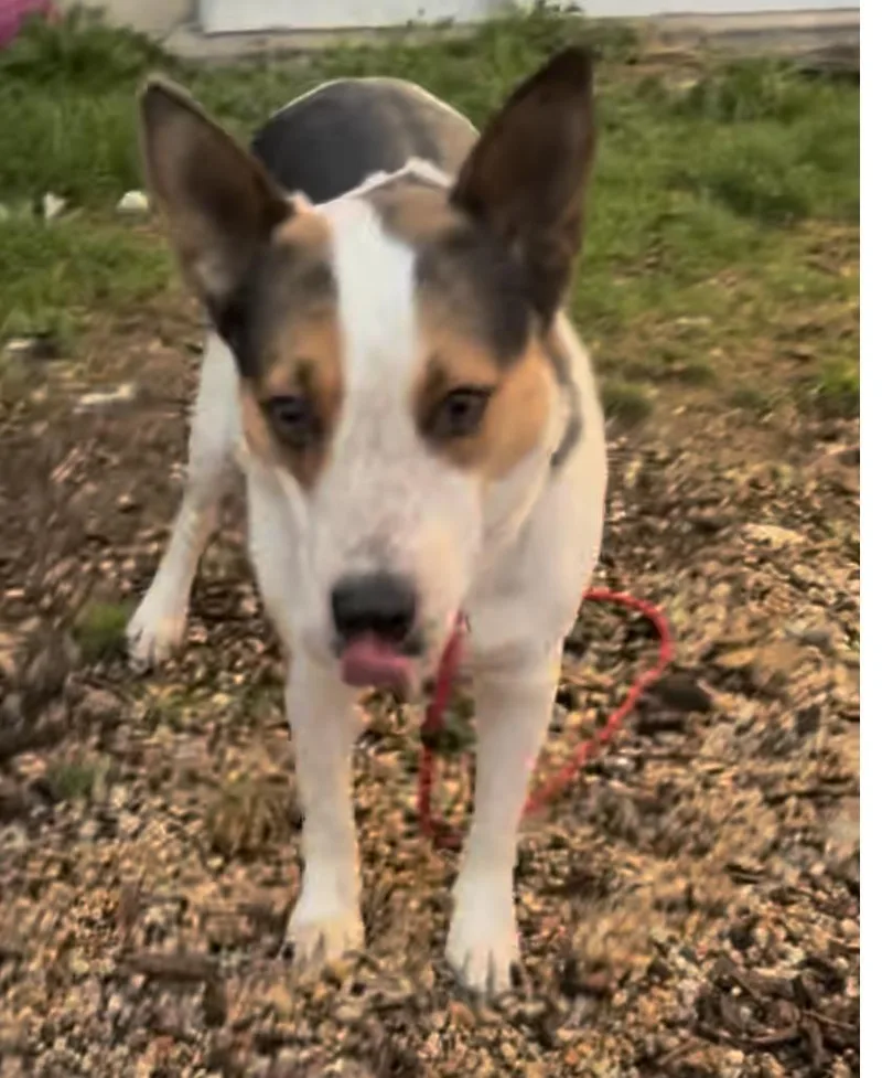 Mercedes thumbnail 3