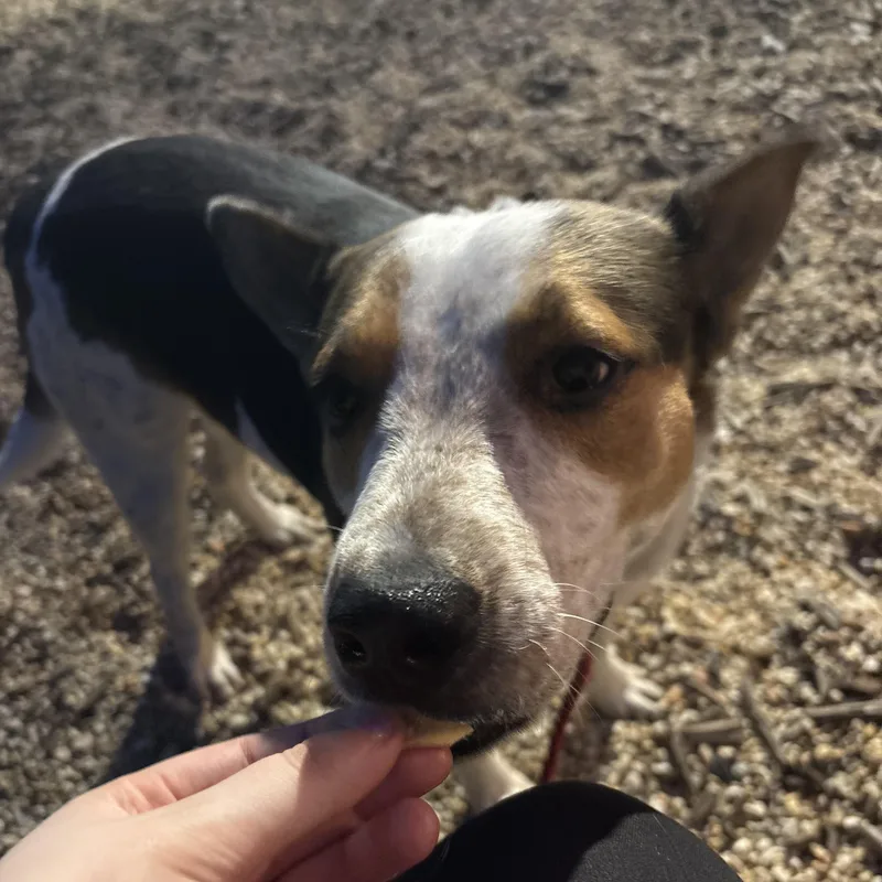 Mercedes thumbnail 4