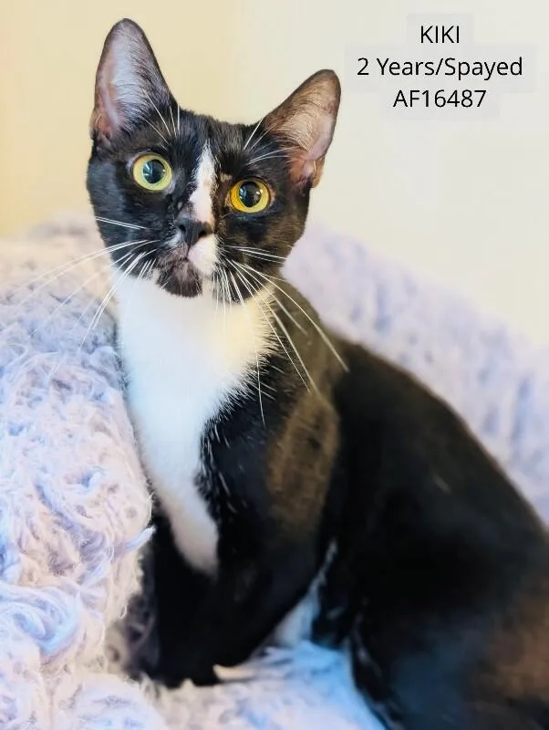 KiKi
