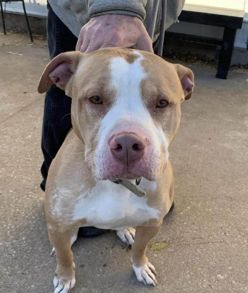 Harrison thumbnail 2