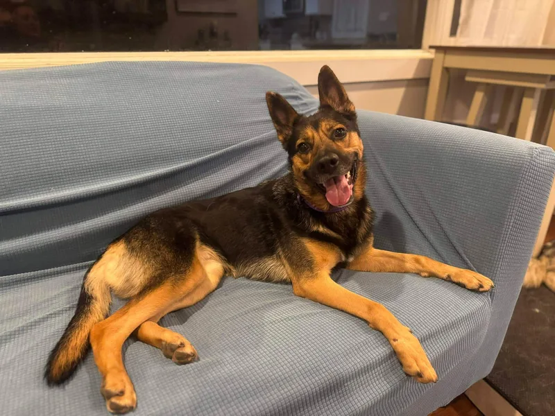 Gabriella thumbnail 3