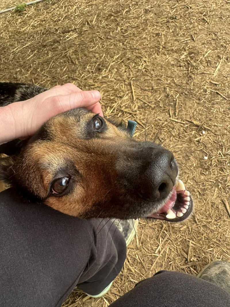 Gabriella thumbnail 5