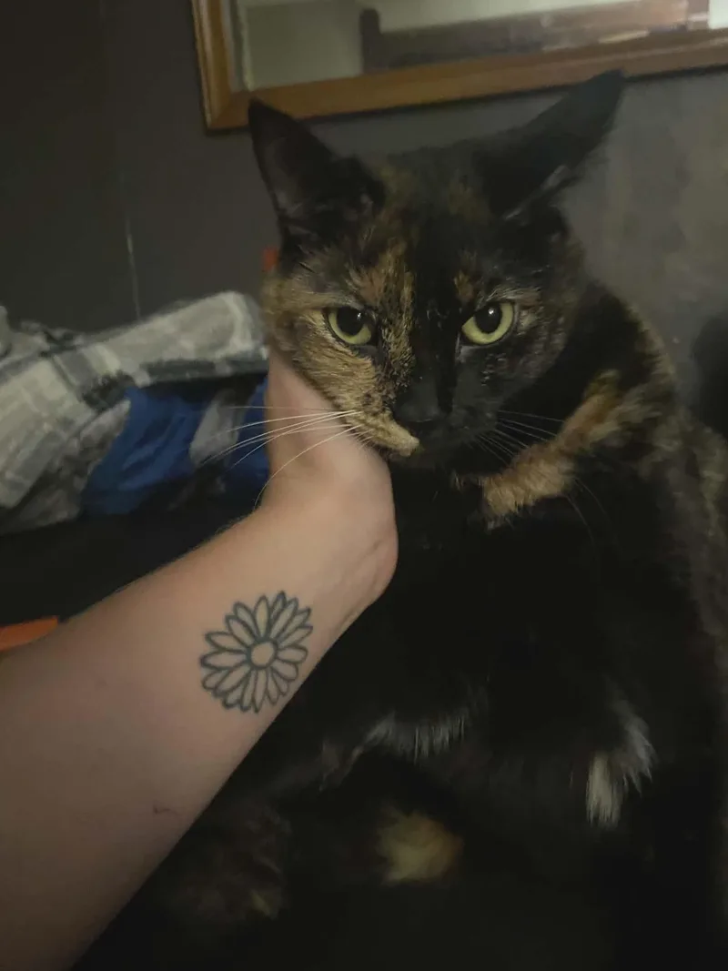 Raven And Baby