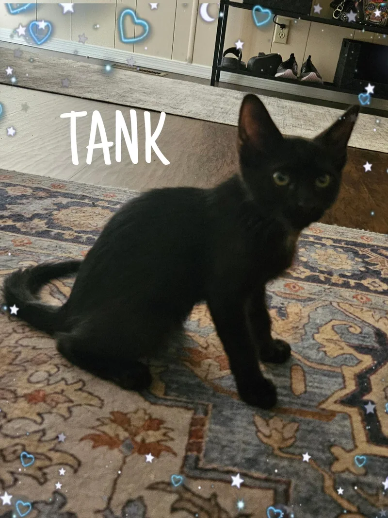 Tank