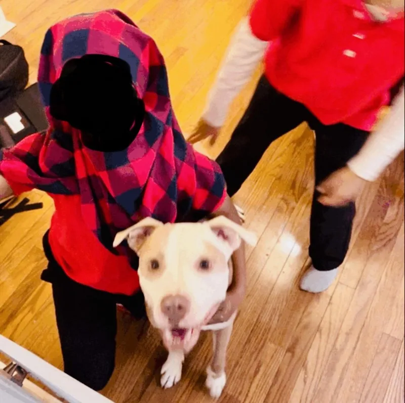Finn thumbnail 2