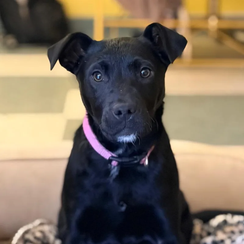 Anne With An E thumbnail 2