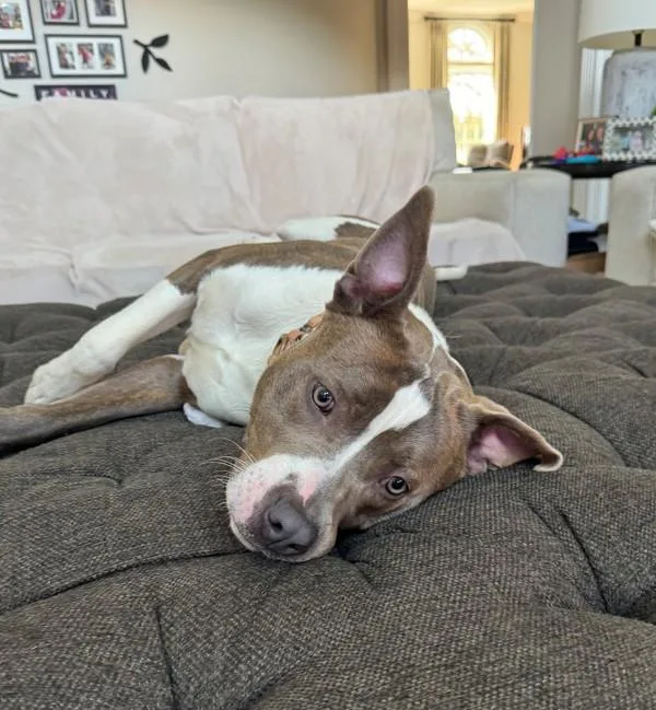 Bruce Wayne thumbnail 2