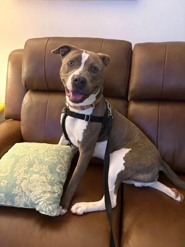 Bruce Wayne thumbnail 3