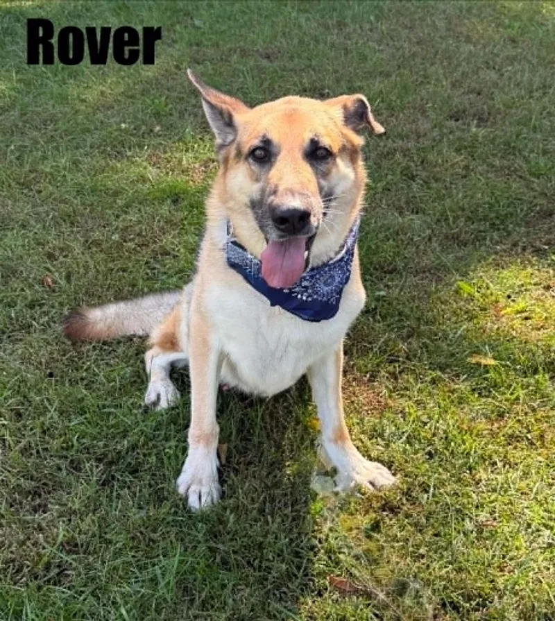 Rover