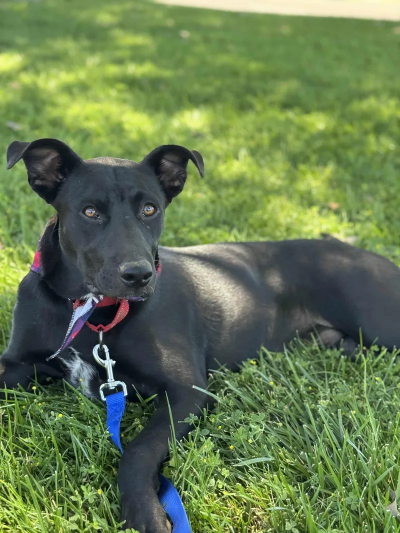 Smokey Bear thumbnail 2