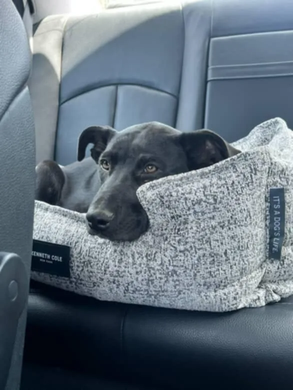 Smokey Bear thumbnail 3