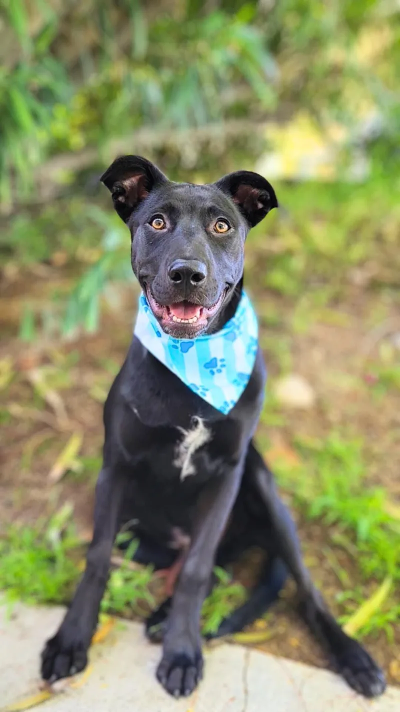 Smokey Bear thumbnail 5