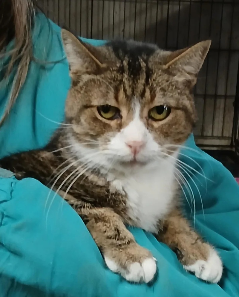 Mill Pond Neon Alert thumbnail 2