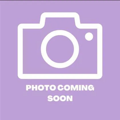 An adult medium-sized female White / Cream Mixed Breed dog named Selah for adoption in El Paso, TX