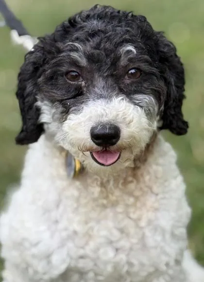 Gladys thumbnail 3