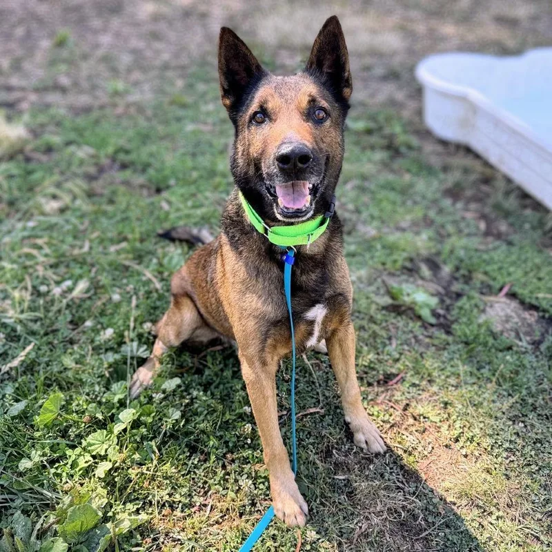 Ghirardelli thumbnail 2