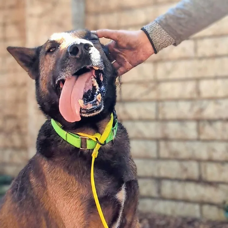 Ghirardelli thumbnail 4