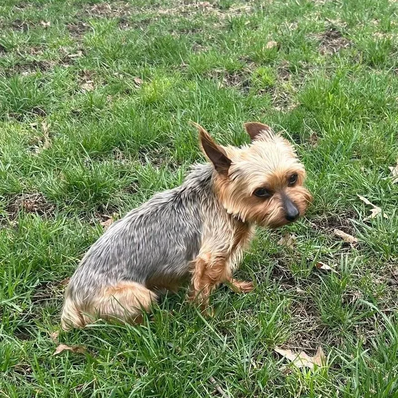 Bobby Joe thumbnail 4