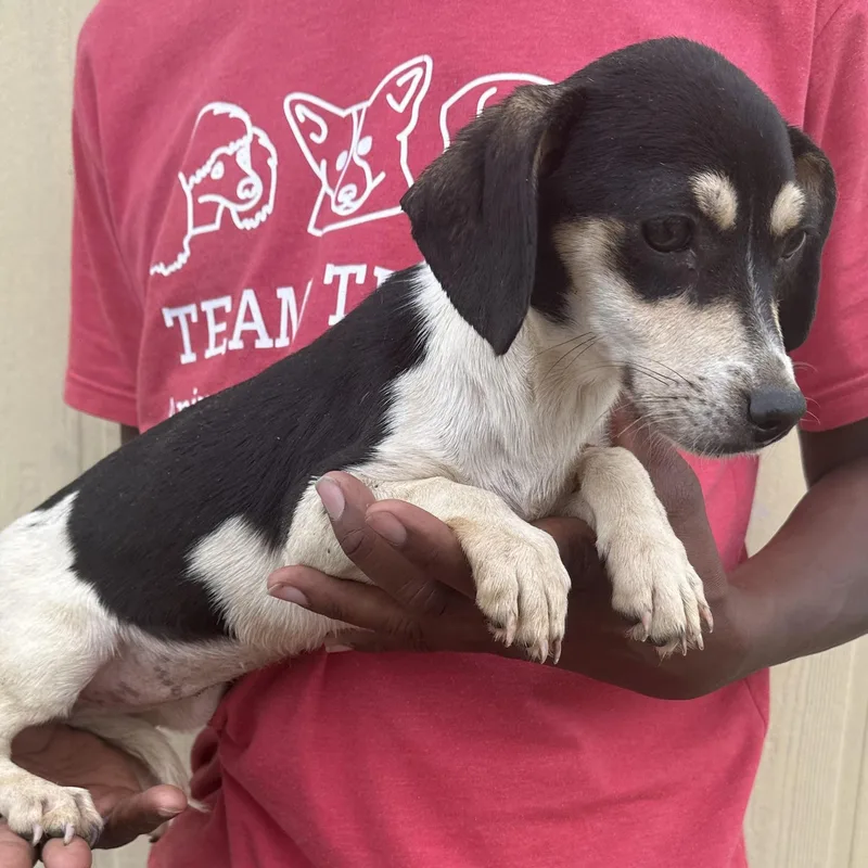 Meghan  Local April thumbnail 2