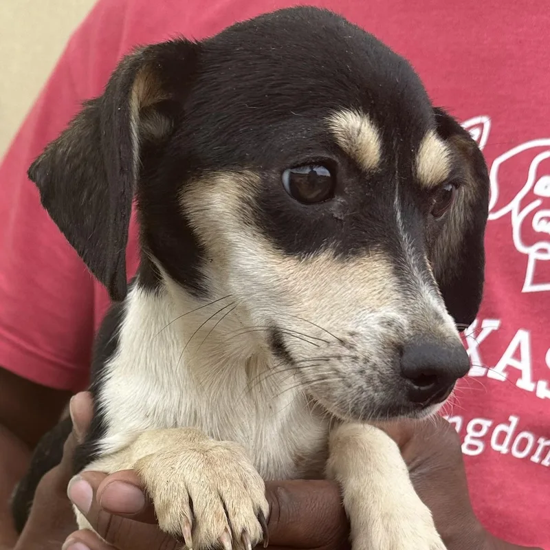 Meghan  Local April thumbnail 3