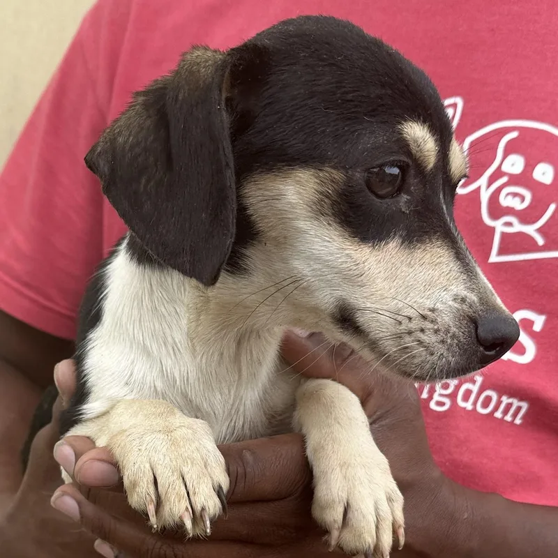 Meghan  Local April thumbnail 4