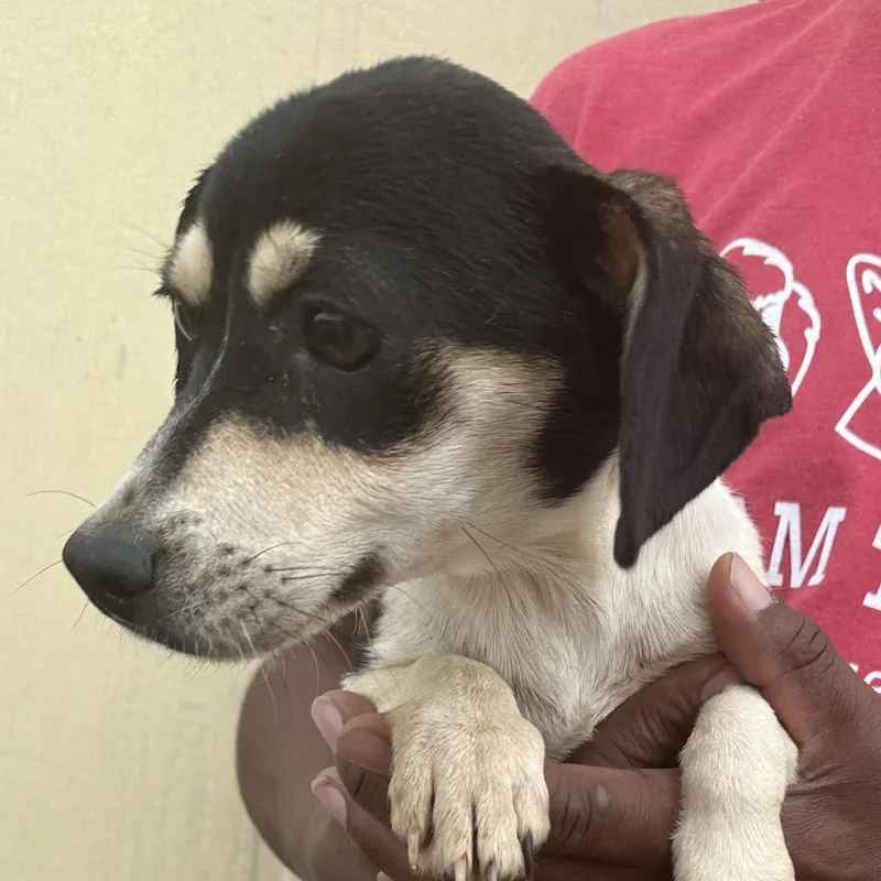 Meghan  Local April thumbnail 5