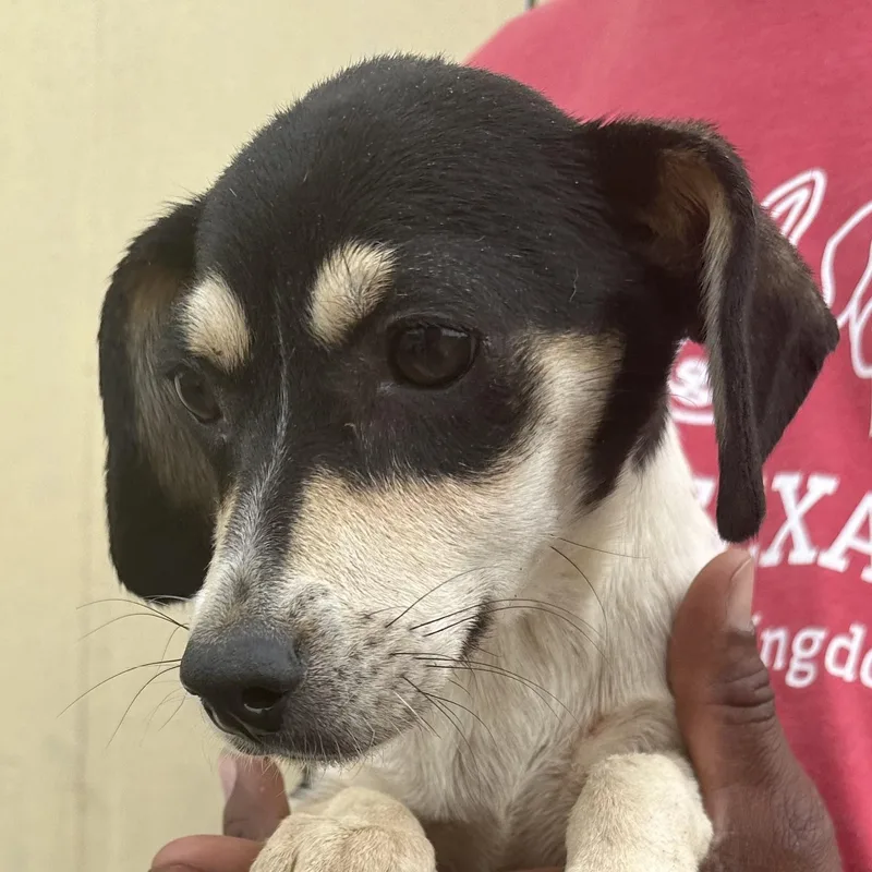 Meghan  Local April thumbnail 6