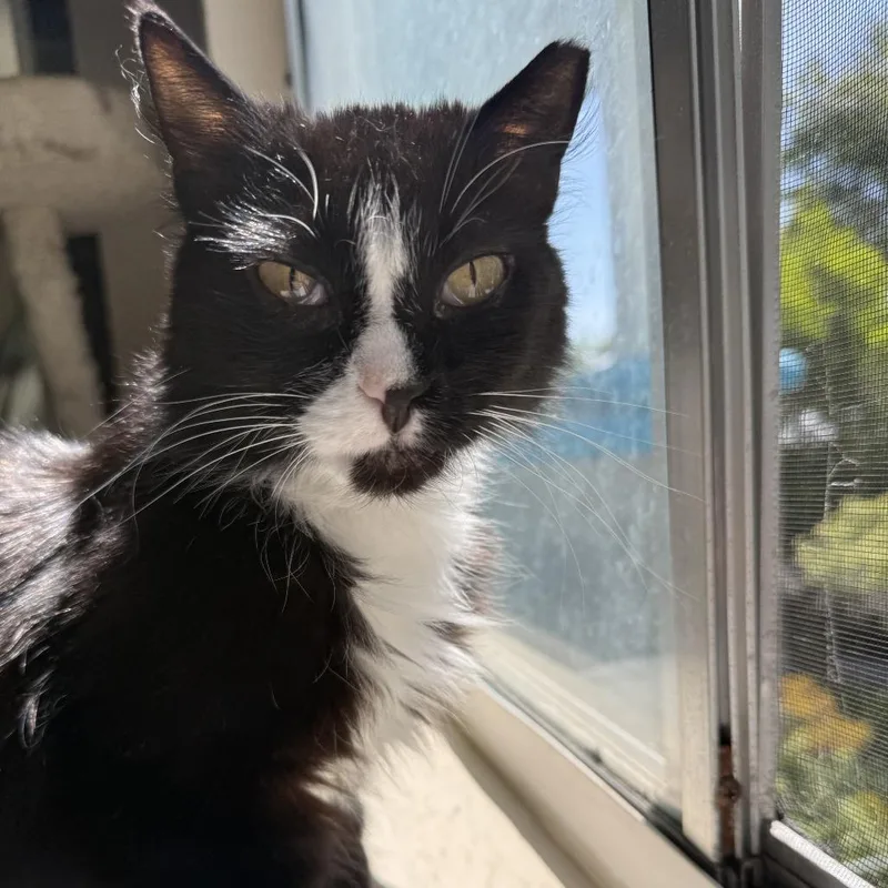 Carolina thumbnail 2