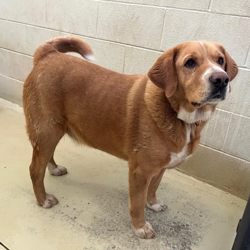 Bandit Groves thumbnail 2