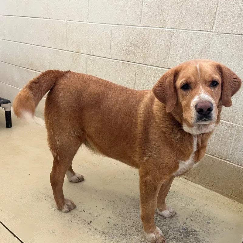 Bandit Groves thumbnail 3