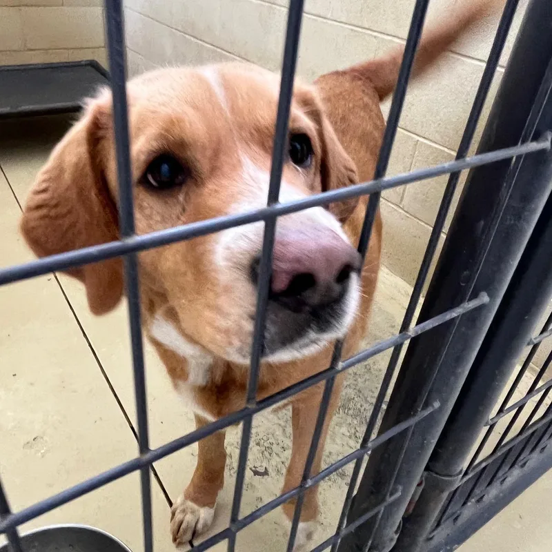 Bandit Groves thumbnail 4