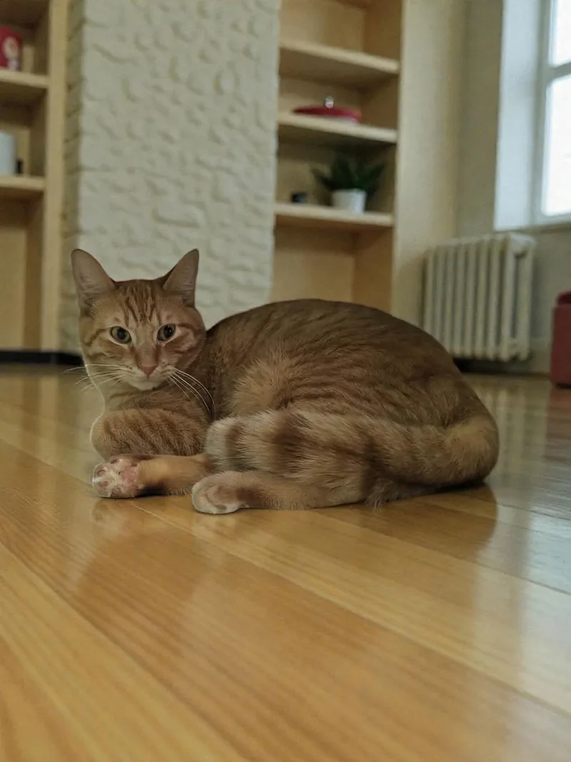 Milkshake thumbnail 2