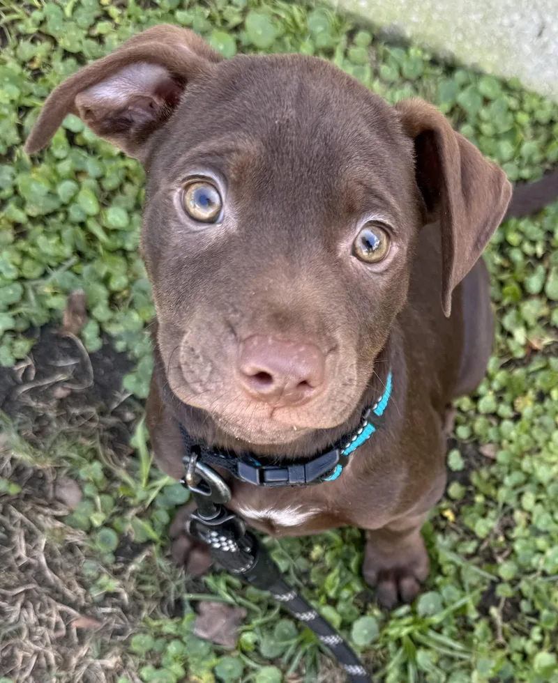 Fairmont thumbnail 2