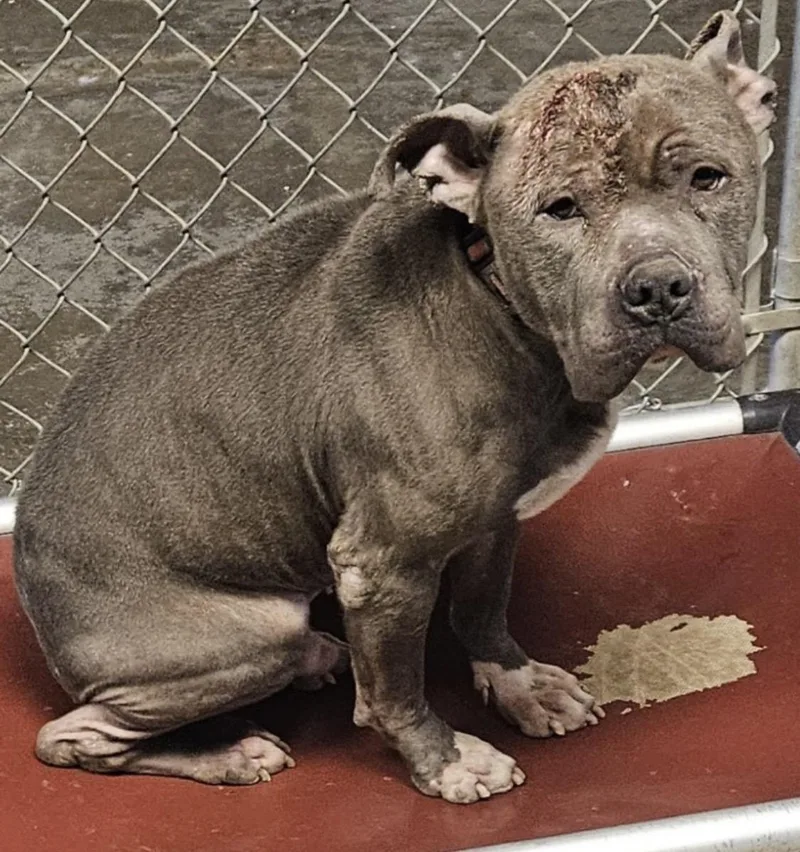 Rudy Hold thumbnail 2