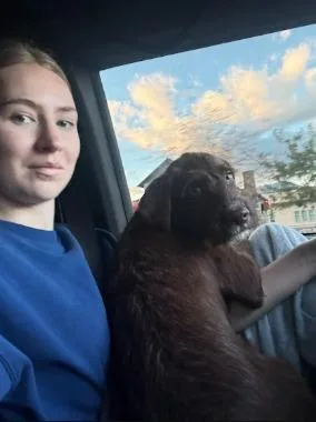 Hershey thumbnail 3