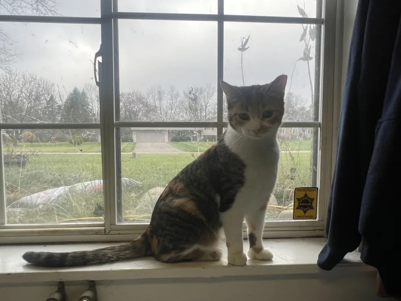 Kellogg “kelley” thumbnail 2