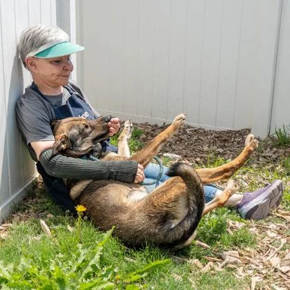 An adult large-sized female Mixed Breed dog named Soliloquy for adoption in Chamblee, GA