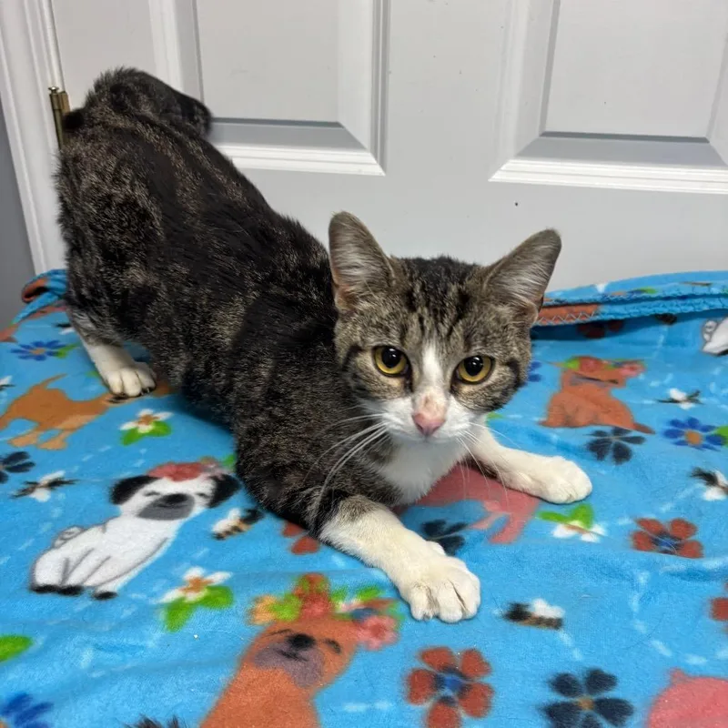 Minute Maid thumbnail 2