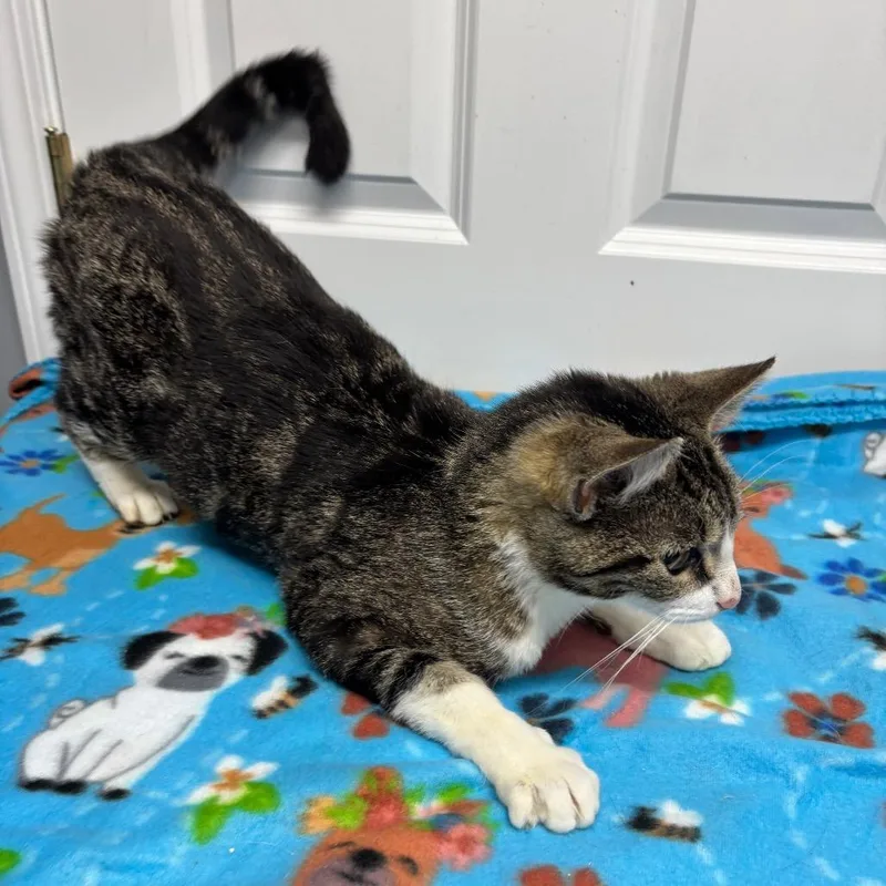 Minute Maid thumbnail 3