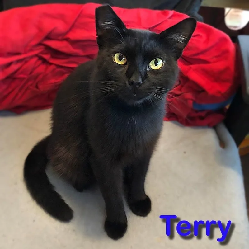 Terry thumbnail 2