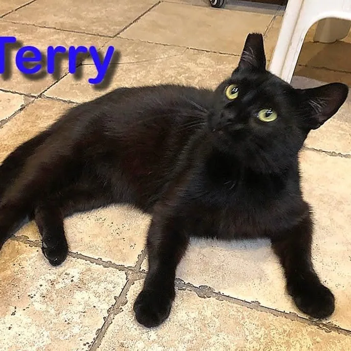 Terry thumbnail 3