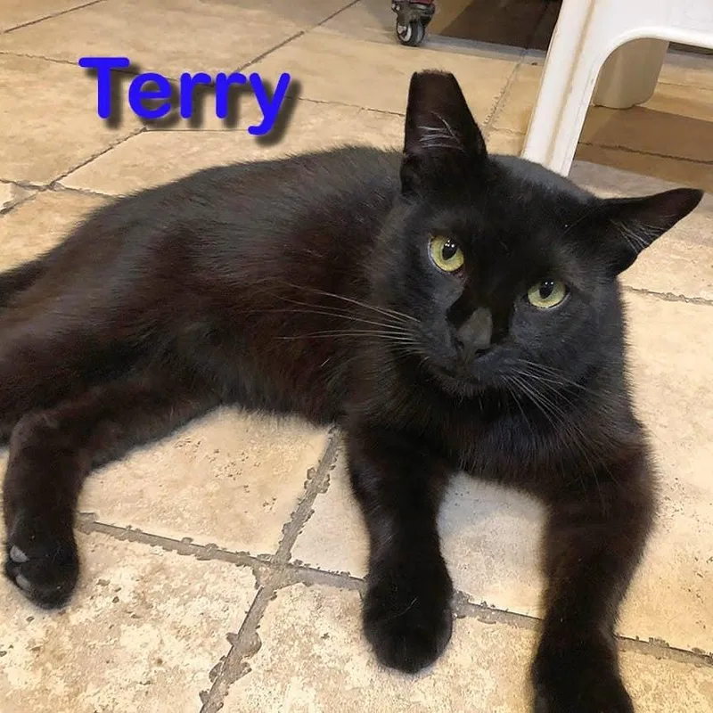 Terry thumbnail 4