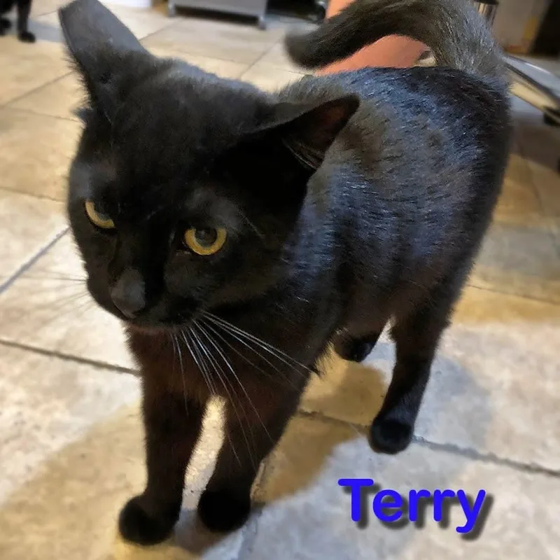 Terry thumbnail 5